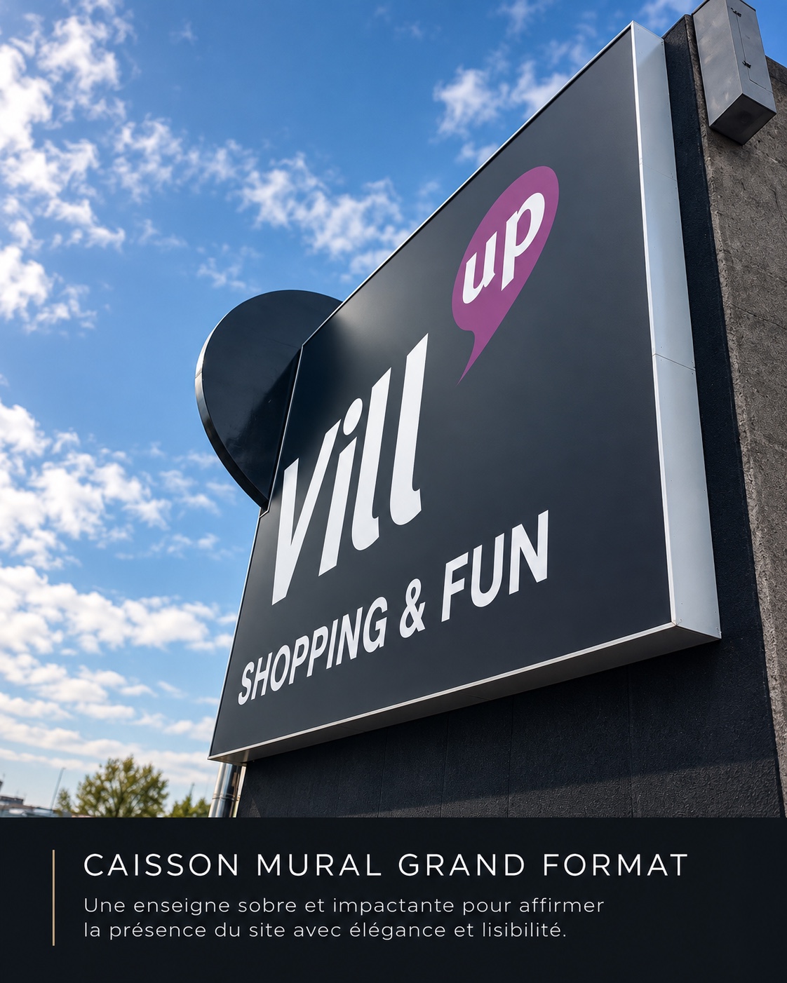 M’Viu — Caisson mural grand format